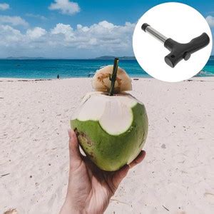 SHRI RADHA VALLABH Steel Coconut Opener Tool, Green Coconut Nariyal ...