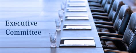 Executive Committee 的图像结果