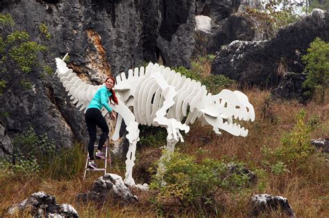 Jaime Edmondson Esta Gravida Towards The Targeted Protein Degradation