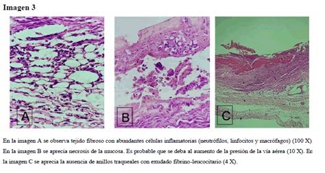 Image result for Informational Data Example