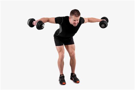 Image result for Bent Over Dumbell Flys Using Bench