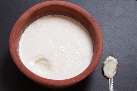 Curd vs. Yogurt: Differences & Health Benefits Explained | Highland Farms