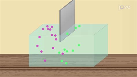 Image result for Reversible Irreversible Process