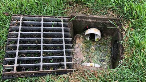 Underground Downspout Drainage System