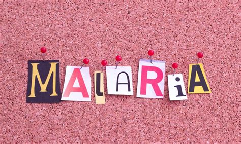 Tafenoquine- Higher dose would reduce Malaria recurrence