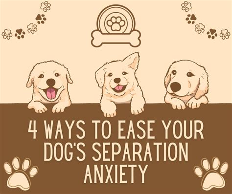 Image result for How to Help Dogs with Separation Anxiety