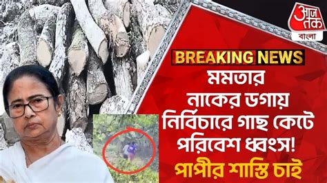 Rajarhat Deforestation: মমতার নাকের ডগায় নির্বিচারে গাছ কেটে পরিবেশ ...