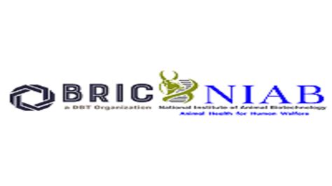 Epratibha Online Examination Platform