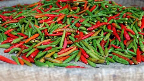5 Different Ways To Cut Chillies For Various Dishes