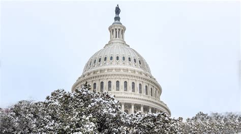 Image result for Postmaster General Testimony