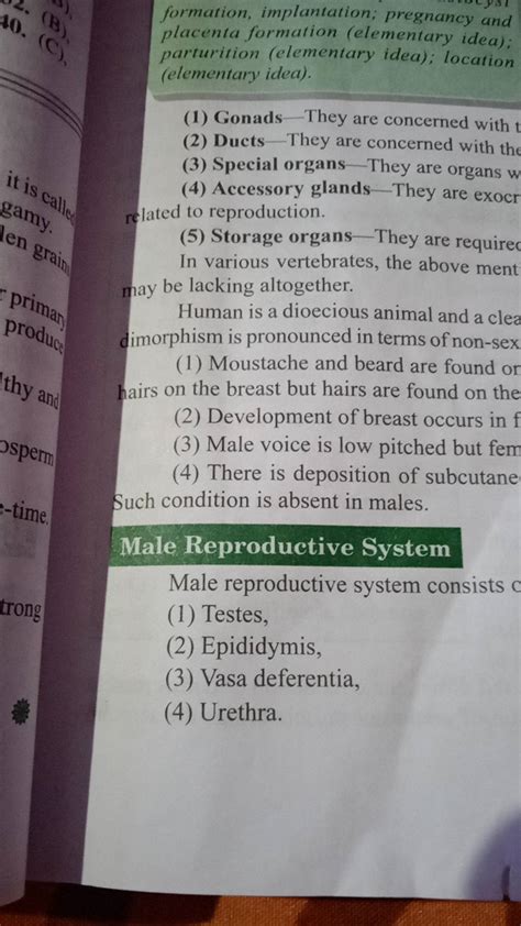 Image result for Male Reproductive System Example