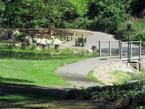 El Cerrito Tourism (2024): All You Need to Know Before You Go