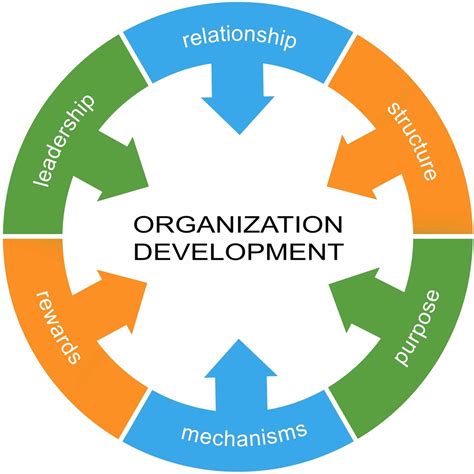 Organization Development 的图像结果