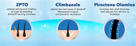 Buy SCALPE PRO ANTI-DANDRUFF SHAMPOO BOTTLE OF 100 ML Online & Get Upto ...