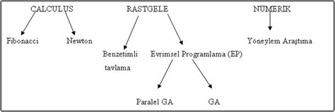 Genetik Algoritmalar