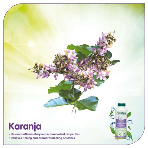 Buy HIMALAYA BABY PRICKLY HEAT POWDER BOTTLE OF - 100 G Online & Get ...