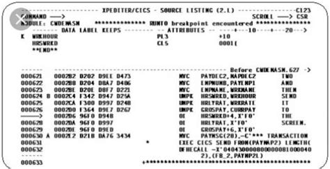How to Use Intertest CICS to Test a Program Beginners 的图像结果