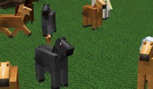 Mo' Creatures Mod Animals Invisible Fix 的图像结果