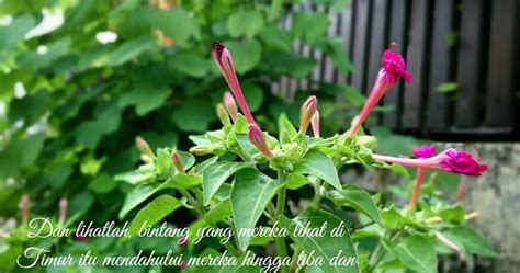 Blog Saya Untuk Orang Yang Enggan Membaca Bahasa Inggris