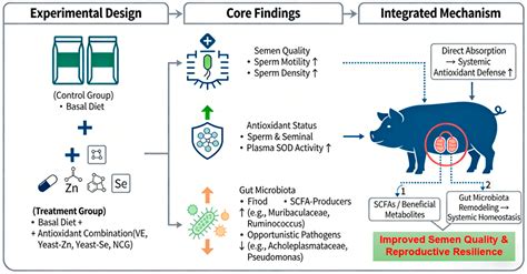 Regulatory Effects of an Antioxidant Combination on Seminal Quality and ...