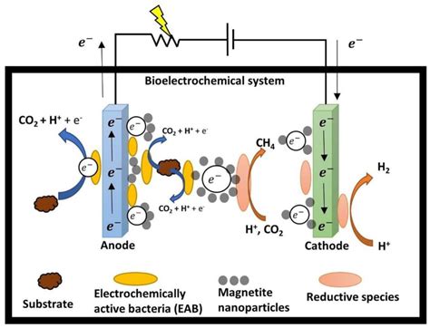 Strategies for Enhancing Extracellular Electron Transfer in Environmental Biotechnology: A Review