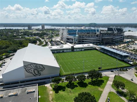 Natural Grass Field 的图像结果