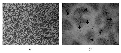 Analysis of Different Solution Treatments in the Transformation of β ...