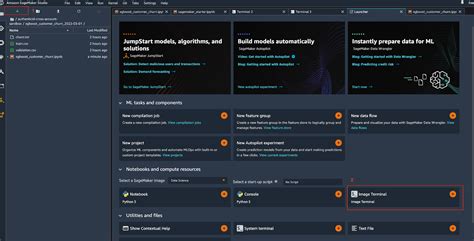 Amazon SageMaker Tutorial 的图像结果