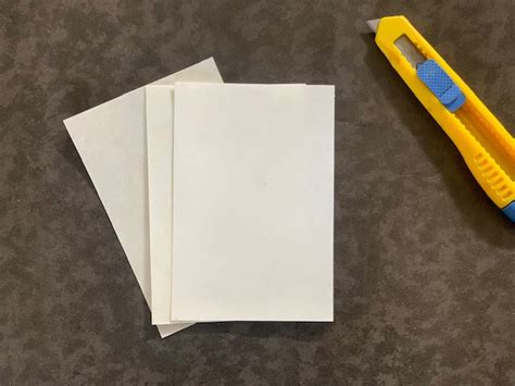 Premium Goat Leather Parchment | Parchment Leather | Calf skin Vellum ...