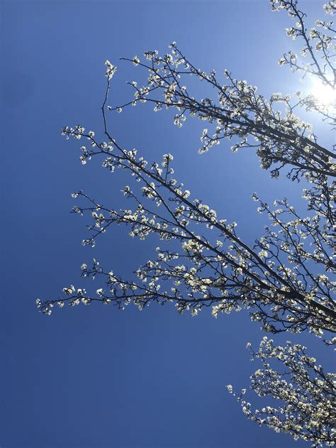 Brooklyn Metal Works