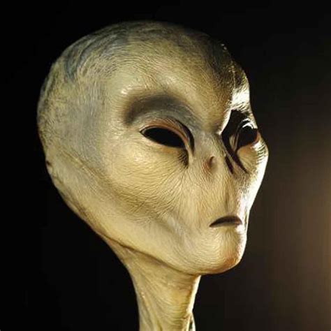 Image result for Alien Docs for Free