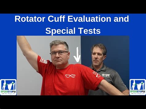 Rotator Cuff Muscles Test 的图像结果