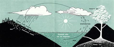 Sea Water 的图像结果