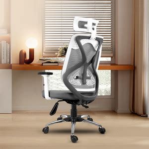 Oakcraft Hurricane Plus High Back Ergonomic Chair with Multi Synchro ...