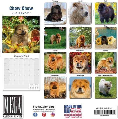 Buy 2022 2023 Chow Chow Calendar - Dog Breed Monthly Wall Calendar - 12 ...