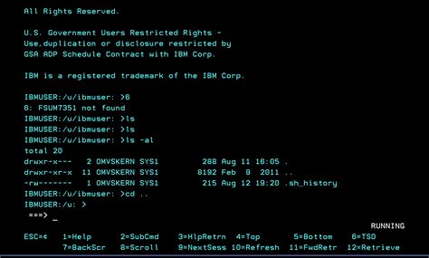 z/OS Unix File System Copy 的图像结果