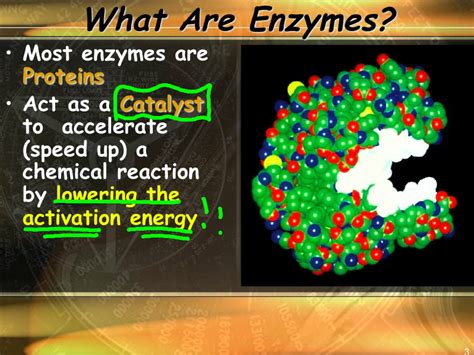 Image result for Enzyme Introduction
