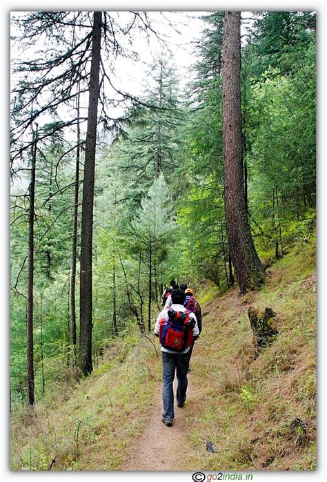 go2india.in : Trekking in Kasol for acclimatization