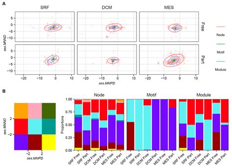 The Self-Organization of Marine Microbial Networks under Evolutionary ...