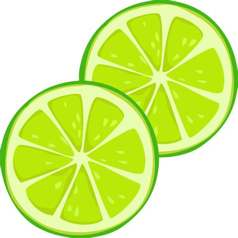 Lime slices, illustration, vector on white background 13715962 Vector ...