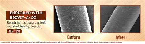 Buy Streax Professional Vitariche Care Repair Max Masque Biovit-A-OX ...