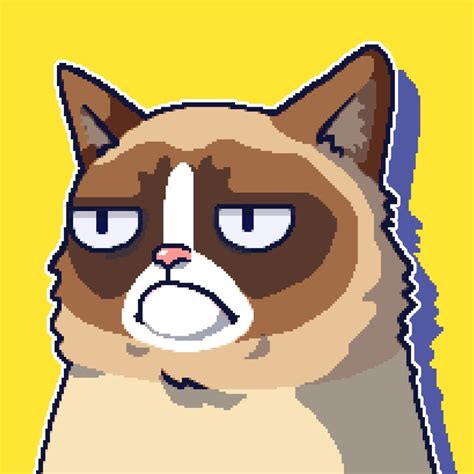 Image result for Grumpy Cat Game