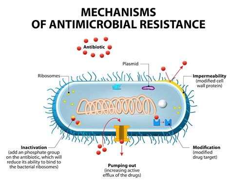 Our 21st Century Apocalyse: The Rise of Antimicrobial Resistance - Science in the City