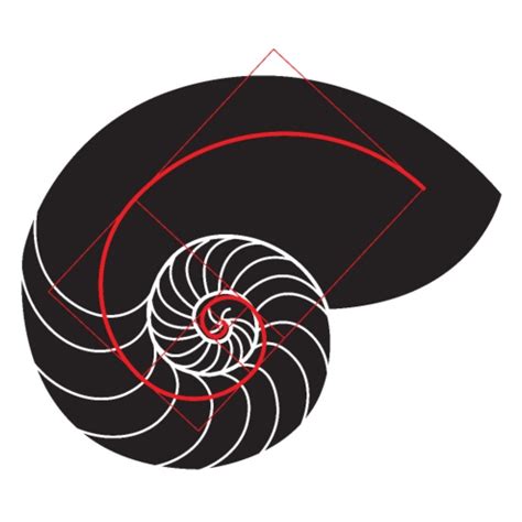 Image result for Nautical Shell Math