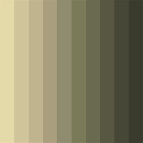 Muted Green Color Palette - ColorDrop