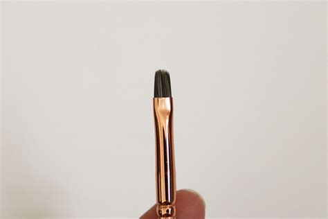 Image result for Tutorial Filbert Brush