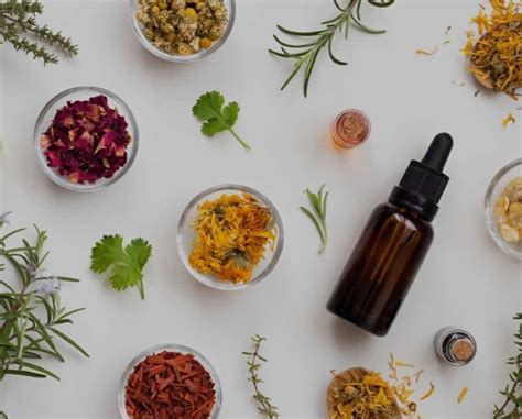 Herbal Aid for Cold and Flu Season , Shine Yoga Studio, Springfield ...