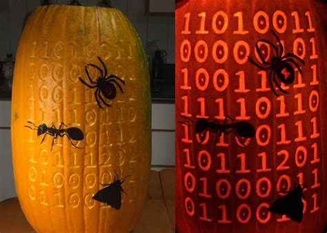 Image result for Code Excited