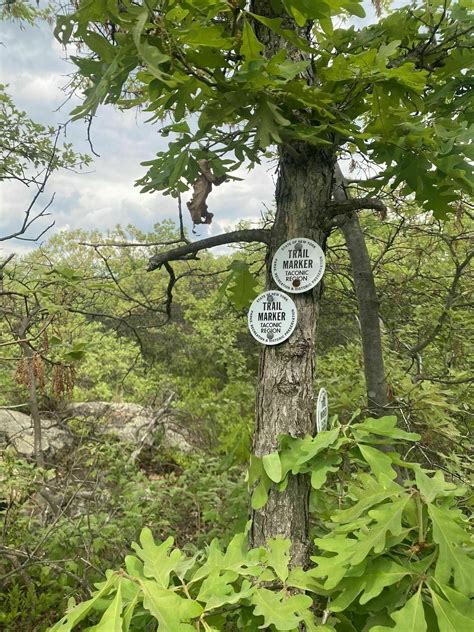 Fishkill Ridge Loop via Overlook and Fishkill Ridge Trail - New York ...