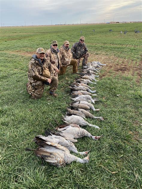 Texas Sandhill Crane Hunt - Gerhart Outdoors